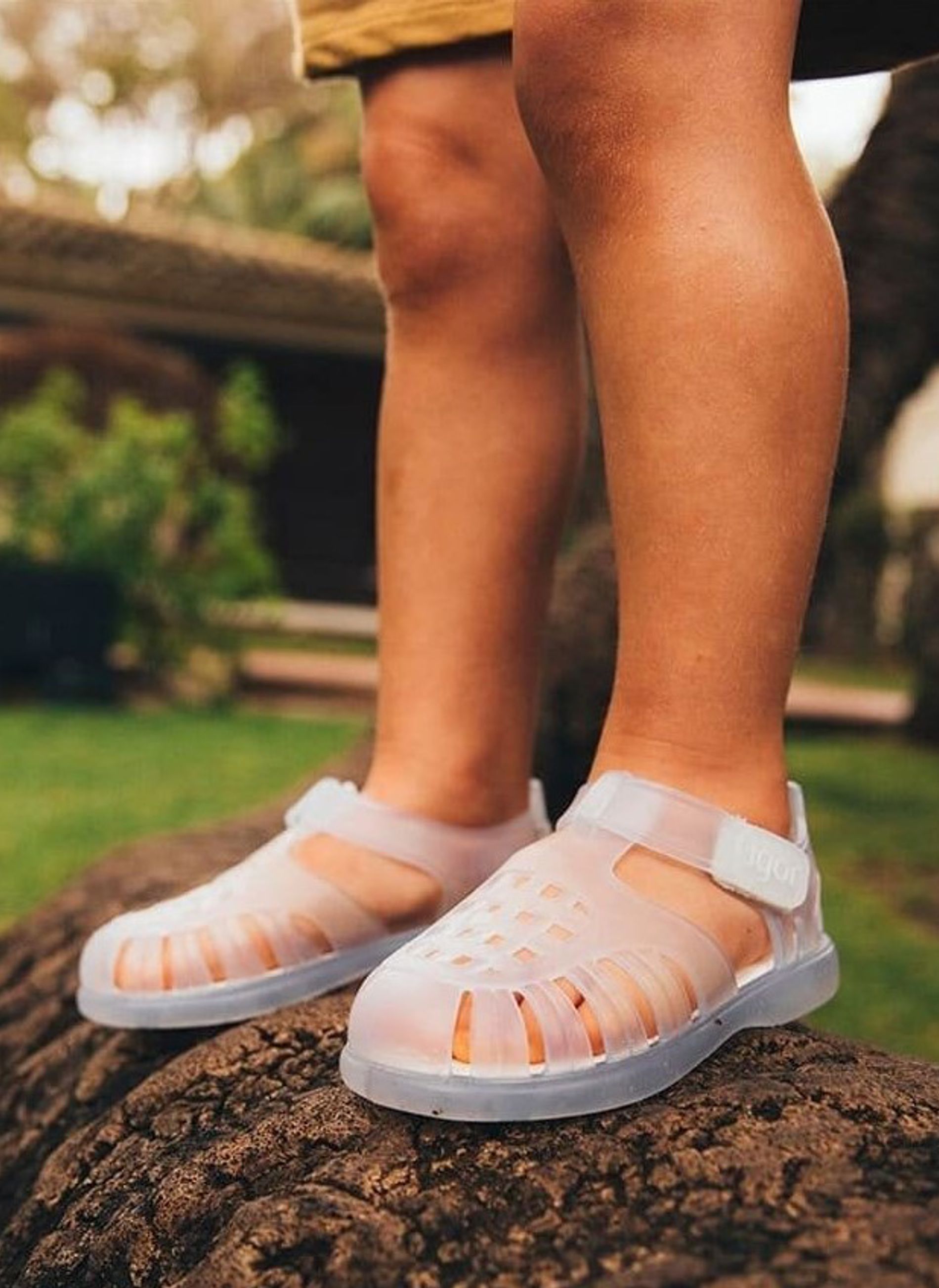 igor ® TOBBY V. Traslucido Peque