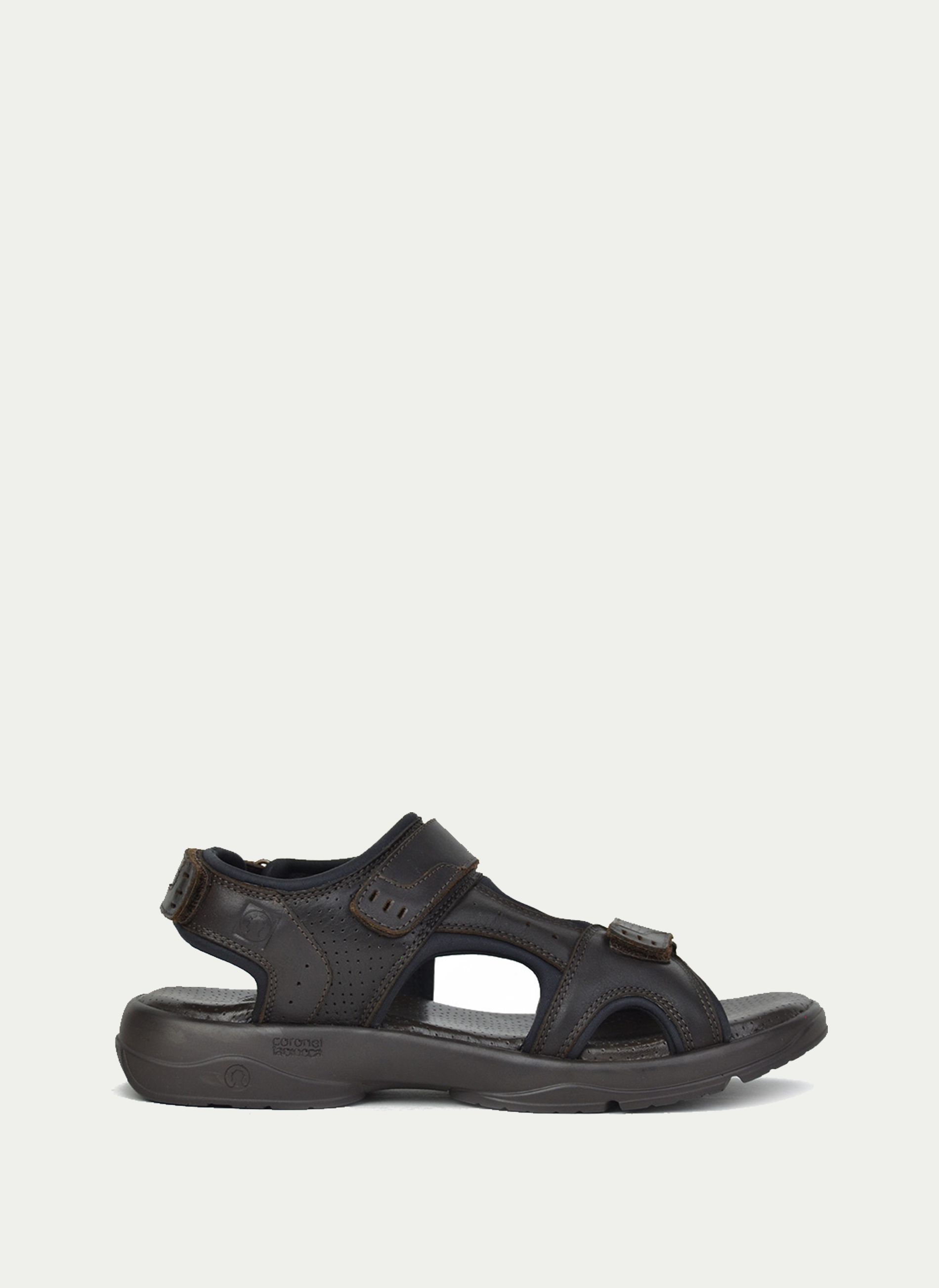 coronel tapiocca ® Californiana Gruesa Logo Coronel Tapiocca